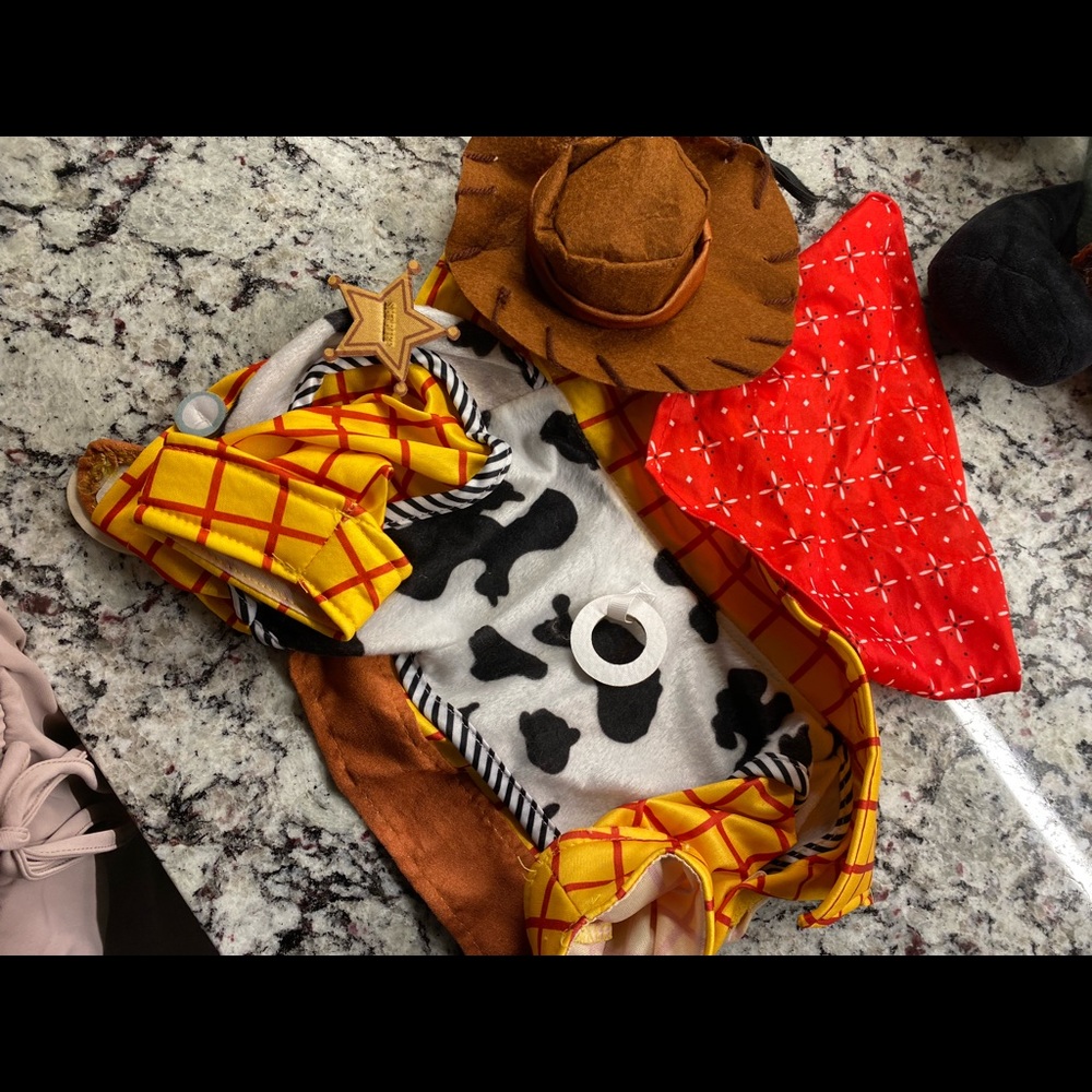 Toy story woody dog Halloween costume